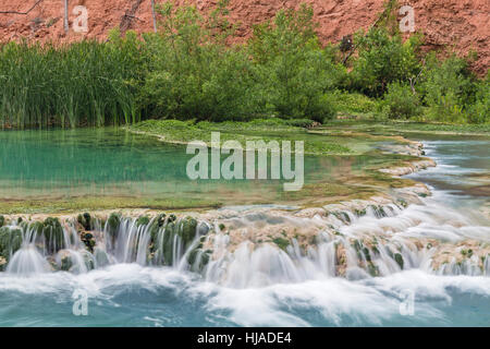 Das kristallklare türkisfarbene Wasser des Havasu Creek fließen aus einem reflektierenden Pool über Travertin Terrassen im Havasupai Indian Reservation, Arizona. Stockfoto