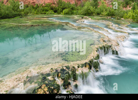 Das kristallklare türkisfarbene Wasser des Havasu Creek fließen über Travertin Terrassen bilden Pools im Havasupai Indian Reservation, Arizona. Stockfoto