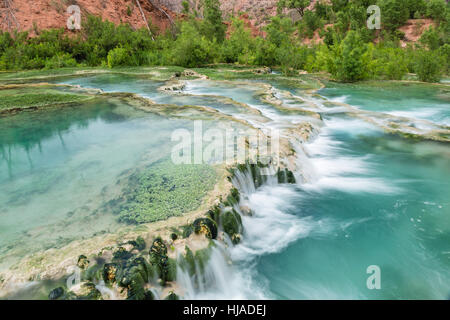 Das kristallklare türkisfarbene Wasser des Havasu Creek fließen über Travertin Terrassen bilden Pools im Havasupai Indian Reservation, Arizona. Stockfoto