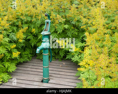 Routinier powered Wasser Brunnenpumpe als eine Garteneigenschaft in grüner Umgebung, Oslo Norwegen Stockfoto