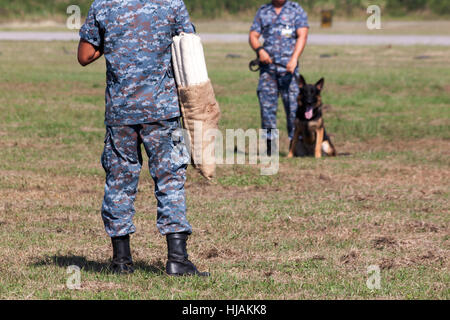 Soldaten aus dem k-9-Hund-Gerät arbeitet mit seinem Partner, einen schlechten Kerl während einer Demonstration zu begreifen Stockfoto