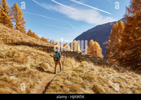 Junge Wandern Weg, Rückansicht, Schnalstal, Südtirol, Italien Stockfoto