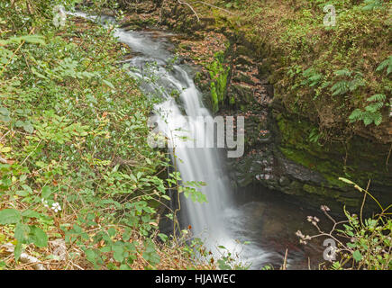 Sgwd Ddwli Isaf (untere sprudelnde Wasserfälle) am Fluss Nedd Fechan zwischen Pont Melin-Fach und Pontneddfechan, Brecon Beacons National Park, South Wales, UK Stockfoto
