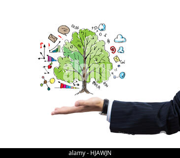 Nahaufnahme von Geschäftsmann Hand mit Baum im palm Stockfoto