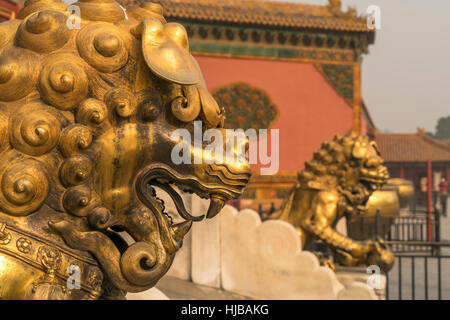 goldenen Löwen bewachen die Tore der verbotenen Stadt, Peking, Volksrepublik China, Asien Stockfoto