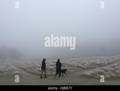 Hund verursacht Wanderer in einem nebligen Richmond Park in Süd-west-London, als Dichter Nebel Reisen Störung über Südengland, mit Tausenden von Fluggästen gegenüber Annullierungen und Verspätungen. Stockfoto