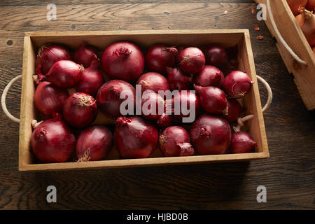Draufsicht auf roten Zwiebeln in Holzkiste Stockfoto