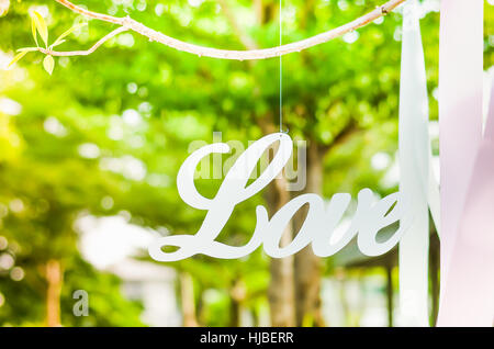 Holzbuchstaben bilden Wort Liebe hängen am Baum Hintergrund. Stockfoto