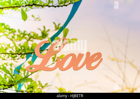 Holzbuchstaben bilden Wort Liebe hängen am Baum Hintergrund. Stockfoto