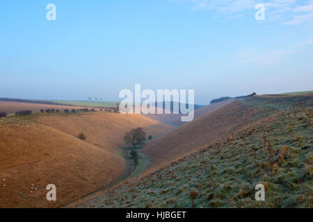 Frost Tal mit Schafbeweidung in Yorkshire Wolds Landschaft mit Hügeln und Hecken im Winter abgedeckt. Stockfoto