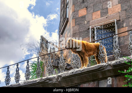 Sehr Larges Erwachsenen rote Hund bewacht die einstürzenden Gebäude Stockfoto