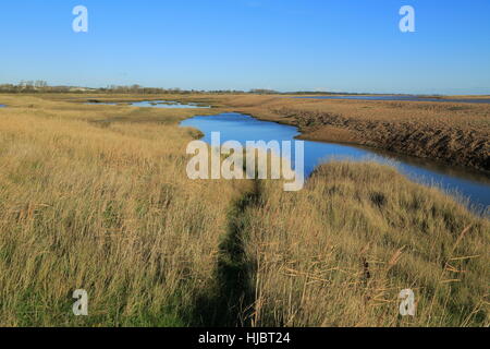 Pools von Wasser hinter Kies Strand Fluss Erz, Orford Ness spucken der extremen Rechten, in der Nähe von Schindel Street, Suffolk, England, UK Stockfoto