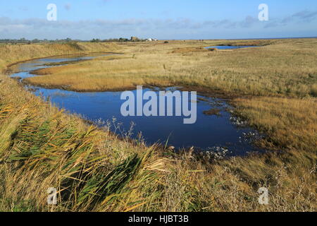 Pools von Wasser zwischen Kiesstrand und Flut Verteidigung Wand, in der Nähe von Schindel Street, Suffolk, England, UK Stockfoto