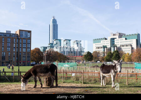 Vauxhall Stadtbauernhof in Lambeth, London, Vereinigtes Königreich. Stockfoto