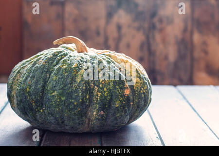 Kürbis aus dem Garten auf dem alten Holztisch. Stockfoto