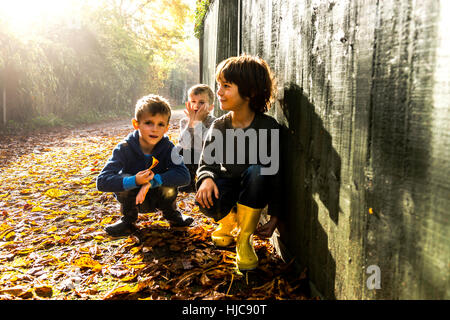 Drei junge Burschen sitzen gegen Zaun, umgeben von Herbstlaub Stockfoto