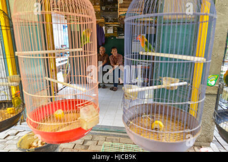 Yogyakarta, Java, Indonesien: Leute verkaufen Vögel auf dem Pasar Ngasem Markt am 6. August 2016 in Yogyakarta, Java, Indonesien. Stockfoto