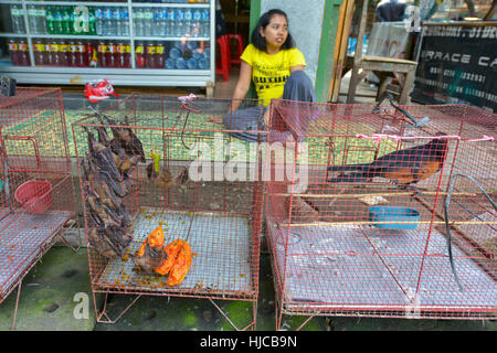 Yogyakarta, Java, Indonesien: Leute verkaufen Vögel auf dem Pasar Ngasem Markt am 6. August 2016 in Yogyakarta, Java, Indonesien. Stockfoto