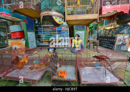 Yogyakarta, Java, Indonesien: Leute verkaufen Vögel auf dem Pasar Ngasem Markt am 6. August 2016 in Yogyakarta, Java, Indonesien. Stockfoto