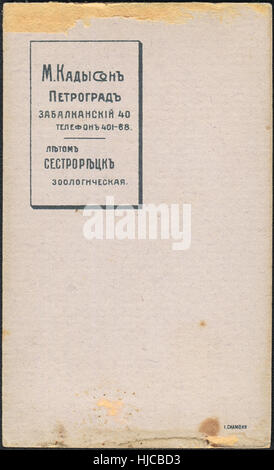 Die Rückseite der Postkarte. Fotograf Kadisson, Petrograd, ca. 1920, Russland Stockfoto