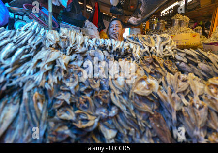 Rantepao, Tana Toraja, Sulawesi, Indonesien: Fischverkäufer auf dem Markt Pasar Bolu am 16. August 2016 in Rantepao, Tana Toraja, Sulawesi, Indonesien. Stockfoto