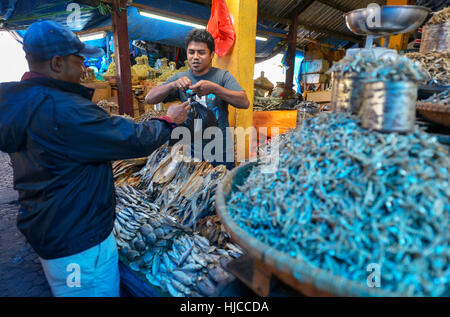 Rantepao, Tana Toraja, Sulawesi, Indonesien: Fischverkäufer auf dem Markt Pasar Bolu am 16. August 2016 in Rantepao, Tana Toraja, Sulawesi, Indonesien. Stockfoto