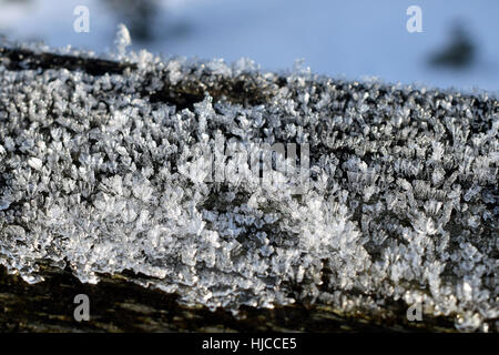 Eiskristalle auf Holz. Stockfoto
