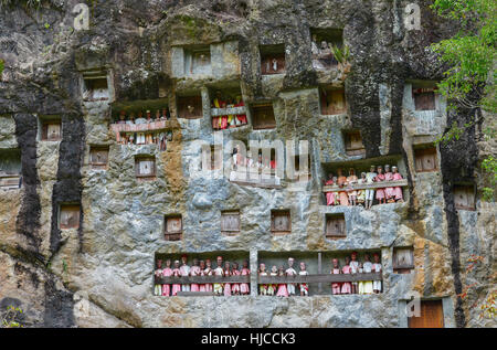 Galerien von Tau-Tau bewachen die Gräber. LEMO ist Klippen alte Grabstätte in Tana Toraja, Sulawesi, Indonesien. Stockfoto