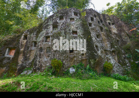 Galerien von Tau-Tau bewachen die Gräber. LEMO ist Klippen alte Grabstätte in Tana Toraja, Sulawesi, Indonesien. Stockfoto