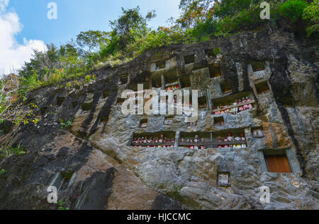 Galerien von Tau-Tau bewachen die Gräber. LEMO ist Klippen alte Grabstätte in Tana Toraja, Sulawesi, Indonesien. Stockfoto