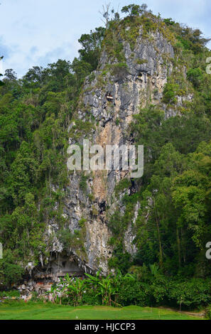 Galerien von Tau-Tau auf Balkon bewachen die Gräber in Londa, Tana Toraja, Sulawesi, Indonesien. Stockfoto