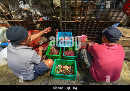 Jakarta, Java, Indonesien - 25 August: Unbekannten Männern Verkauf von Lebensmitteln auf einem Markt in Jakarta am 25. August 2016 in Java, Indonesien Stockfoto