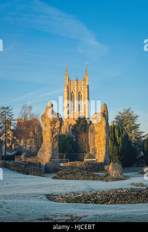 Bury St Edmunds Abbey, das zerstörte Mauerwerk der alten Abtei in Bury St Edmunds Abbey Gardens, mit St. Edmundsbury Kathedrale im Hintergrund. Stockfoto