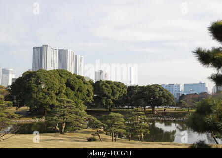 Gesamtansicht der Hamarikyu Gärten (Japanisch: Hama-Rikyu Onshi Teien) im Bezirk Chuo, Tokyo, Japan. Stockfoto