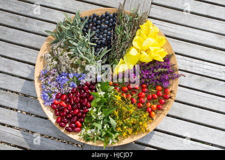 Spätsommer Blütenteller Und Früchteteller. Blüten, Blumen, Kräuter, Kräuter Sammeln, Kräuterernte, Blüten Und Früchte Auf Einem Teller Sortiert, bunt, Stockfoto