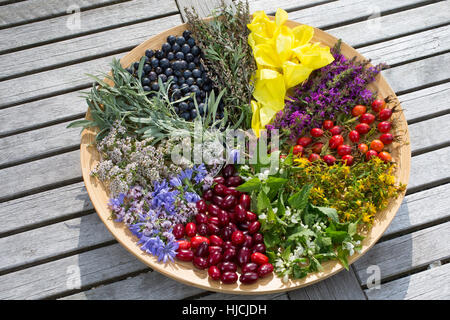 Spätsommer Blütenteller Und Früchteteller. Blüten, Blumen, Kräuter, Kräuter Sammeln, Kräuterernte, Blüten Und Früchte Auf Einem Teller Sortiert, bunt, Stockfoto