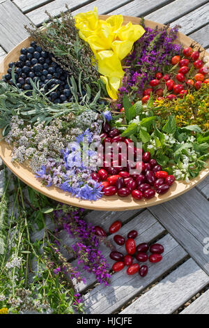 Spätsommer Blütenteller Und Früchteteller. Blüten, Blumen, Kräuter, Kräuter Sammeln, Kräuterernte, Blüten Und Früchte Auf Einem Teller Sortiert, bunt, Stockfoto