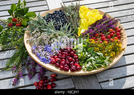 Spätsommer Blütenteller Und Früchteteller. Blüten, Blumen, Kräuter, Kräuter Sammeln, Kräuterernte, Blüten Und Früchte Auf Einem Teller Sortiert, bunt, Stockfoto