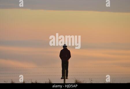 Devil es Dyke, East Sussex 23. Januar 2017 die sanften Hügel der South Downs National Park in der Nähe von Brighton über dem Nebel bei Sonnenuntergang zu erheben. © Peter Cripps/Alamy Live-Nachrichten Stockfoto