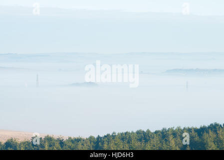 Nebligen Morgen um Hardy Monument, in der Nähe von Dorchester, Dorset, UK. 23. Januar 2017. Ein nebliger Start in den Tag in Dorset mit Pylonen im Nebel. © Dan Tucker/Alamy Live-Nachrichten Stockfoto