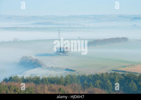 Nebligen Morgen um Hardy Monument, in der Nähe von Dorchester, Dorset, UK. 23. Januar 2017. Ein nebliger Start in den Tag in Dorset mit Pylonen im Nebel. © Dan Tucker/Alamy Live-Nachrichten Stockfoto