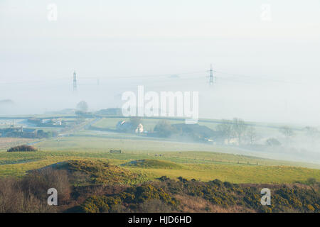 Nebligen Morgen um Hardy Monument, in der Nähe von Dorchester, Dorset, UK. 23. Januar 2017. Ein nebliger Start in den Tag in Dorset mit Pylonen im Nebel. © Dan Tucker/Alamy Live-Nachrichten Stockfoto