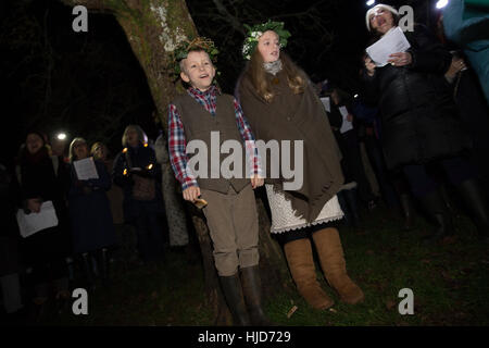 Devon, UK. 21. Januar 2017. Das Dorf von Stoke Gabriel, Devon, feiert seinen jährlichen Wassail - eine mittelalterliche englische Ritual trinken soll eine gute Apfelwein Apfelernte im folgenden Jahr gewährleistet.  Die Ereignisse besteht aus Morris Tanz, Magie, Musik, Apfelwein trinken, ein Laternenumzug und uralten Wassail Zeremonie in die lokalen Apfelplantage, beaufsichtigt von der Wassail Master Of Ceremonies. Bildnachweis: David Lager/Alamy Live-Nachrichten Stockfoto