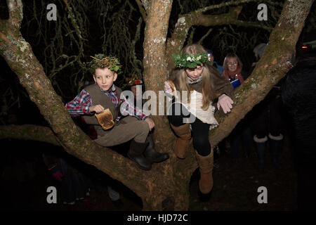 Devon, UK. 21. Januar 2017. Das Dorf von Stoke Gabriel, Devon, feiert seinen jährlichen Wassail - eine mittelalterliche englische Ritual trinken soll eine gute Apfelwein Apfelernte im folgenden Jahr gewährleistet.  Die Ereignisse besteht aus Morris Tanz, Magie, Musik, Apfelwein trinken, ein Laternenumzug und uralten Wassail Zeremonie in die lokalen Apfelplantage, beaufsichtigt von der Wassail Master Of Ceremonies. Bildnachweis: David Lager/Alamy Live-Nachrichten Stockfoto