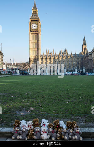 London, UK. 24. Januar 2017. Zwanzig Teddybären vor dem Parlament von Claire Throssell und erste Kind Kinder symbolisieren, die durch unsichere Kontakt mit einem gewalttätigen Elternteil gestorben sind angezeigt. Erste Kind fordert ein Ende unsichere Kind Kontakt mit gefährlichen Tätern häuslicher Gewalt durch das Familiengericht Prozess. Bildnachweis: Mark Kerrison/Alamy Live-Nachrichten Stockfoto