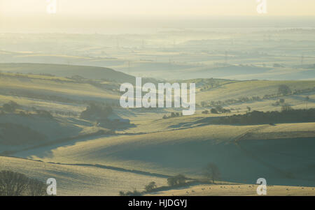 Nebligen Sonnenaufgang von Hardy Monument, in der Nähe von Dorchester, Dorset, UK. 25. Januar 2017. Ein bunt frostigen Winter nebligen Sonnenaufgang von Hardy Monument. © Dan Tucker/Alamy Live-Nachrichten Stockfoto