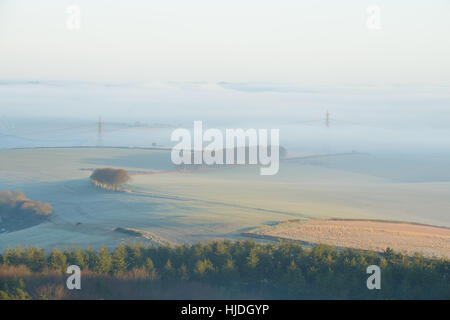 Nebligen Sonnenaufgang von Hardy Monument, in der Nähe von Dorchester, Dorset, UK. 25. Januar 2017. Ein bunt frostigen Winter nebligen Sonnenaufgang von Hardy Monument. © Dan Tucker/Alamy Live-Nachrichten Stockfoto