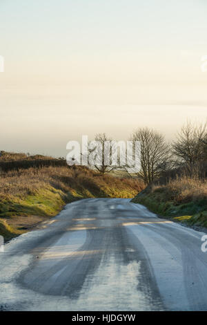 Hardy Monument, Dorset, UK. 25. Januar 2017. Großbritannien Wetter. Nebligen Sonnenaufgang von Hardy Monument, in der Nähe von Dorchester, Dorset, UK. 25. Januar 2017. Ein bunt frostigen Winter nebligen Sonnenaufgang von Hardy Monument. Bildnachweis: Dan Tucker/Alamy Live-Nachrichten Stockfoto
