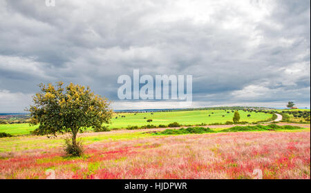 Schöne Landschaft in Alburquerque, Extremadura, Badajoz Stockfoto