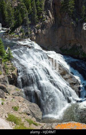 Gibbon Falls, Yellowstone-Nationalpark, Wyoming, USA Stockfoto